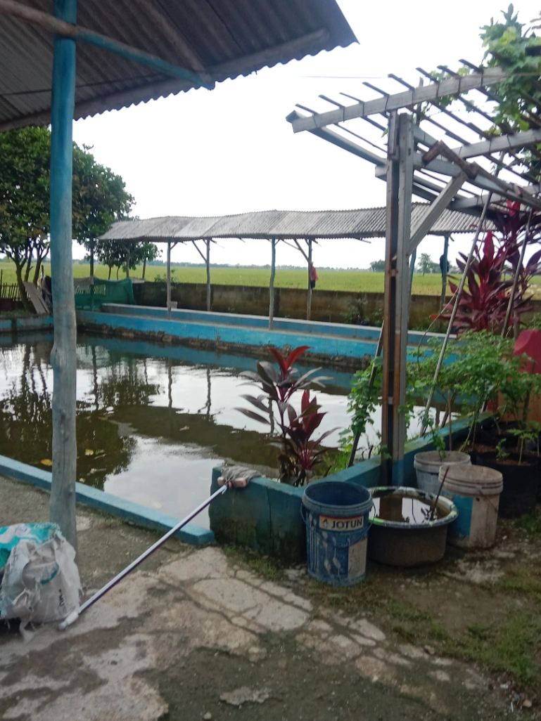 Kolam renang dan  pemancingan Kabitha
